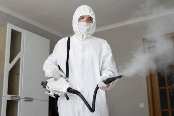 Why You Should Choose Our Mold Remediation Services in Morgantown, MS